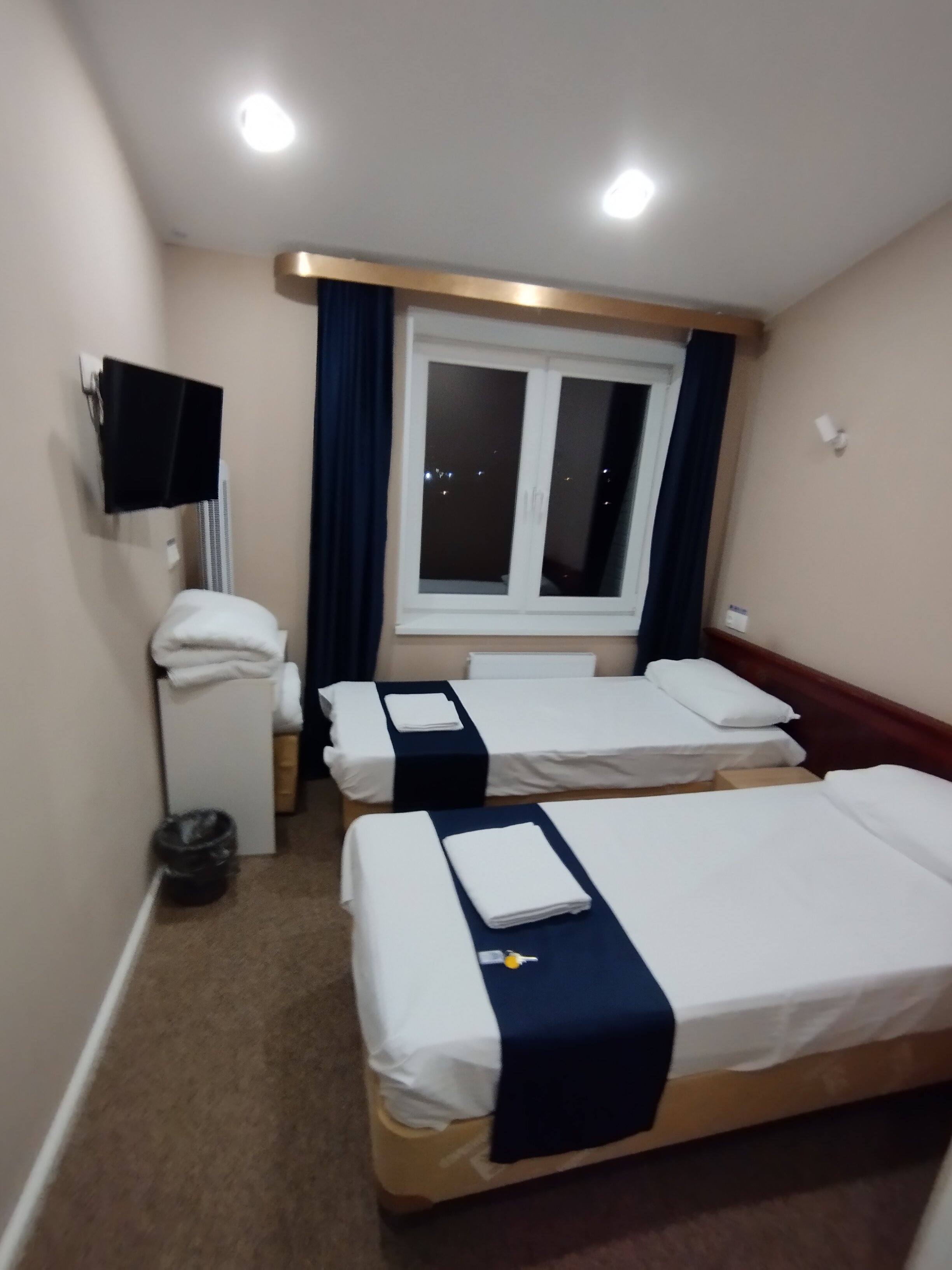 Фото Сова в Шереметьево