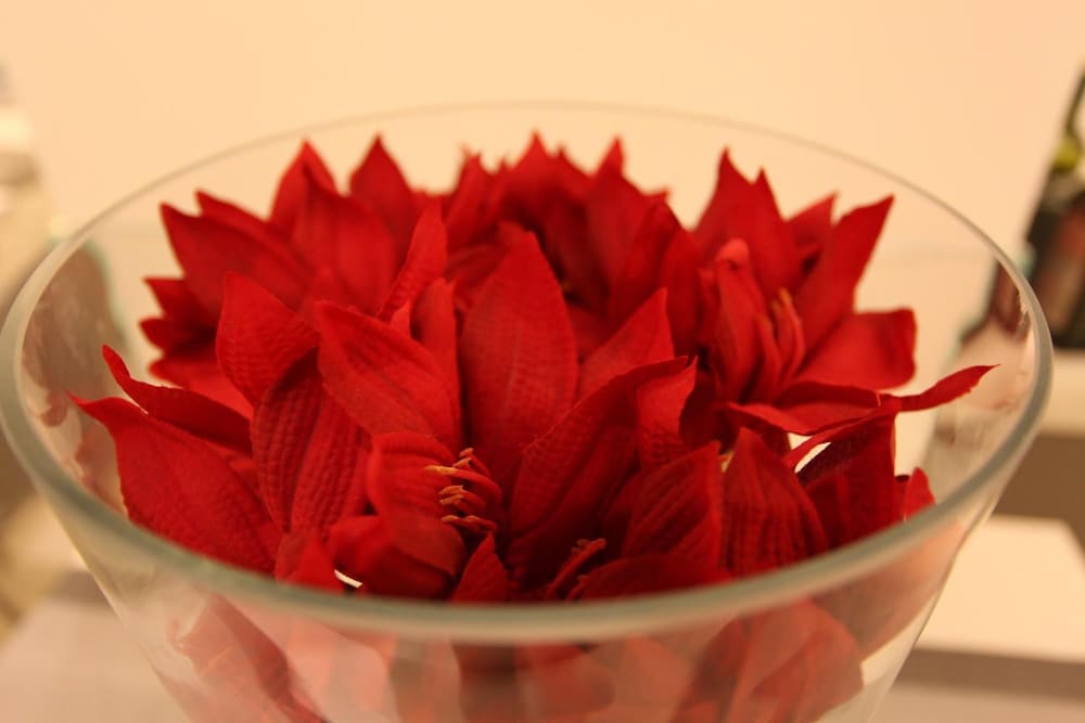 Фото Hotel Fantasy