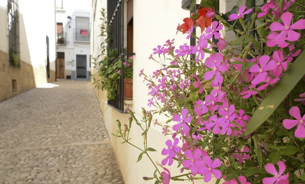 Фото Hostal La Fonda