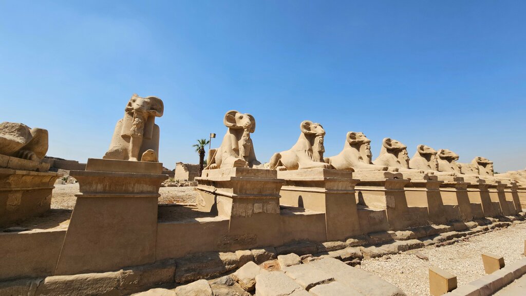 معلم جذب سياحي زقاق أبو الهول ، لوكسور، صورة