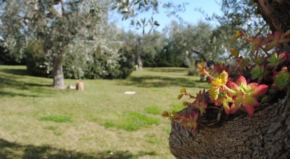 Фото Giardino Giamperduto Hotel