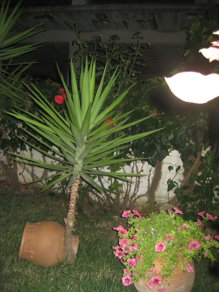 Фото Hotel Pighi