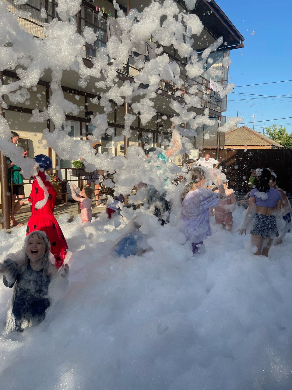 Фото Совёнок