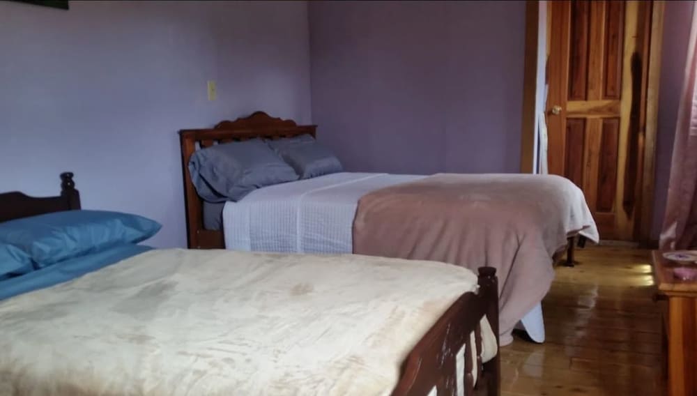 Фото Hotel Alta Vista