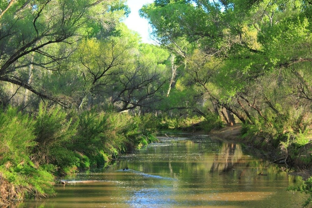 Фото Best Western Plus Sun Canyon