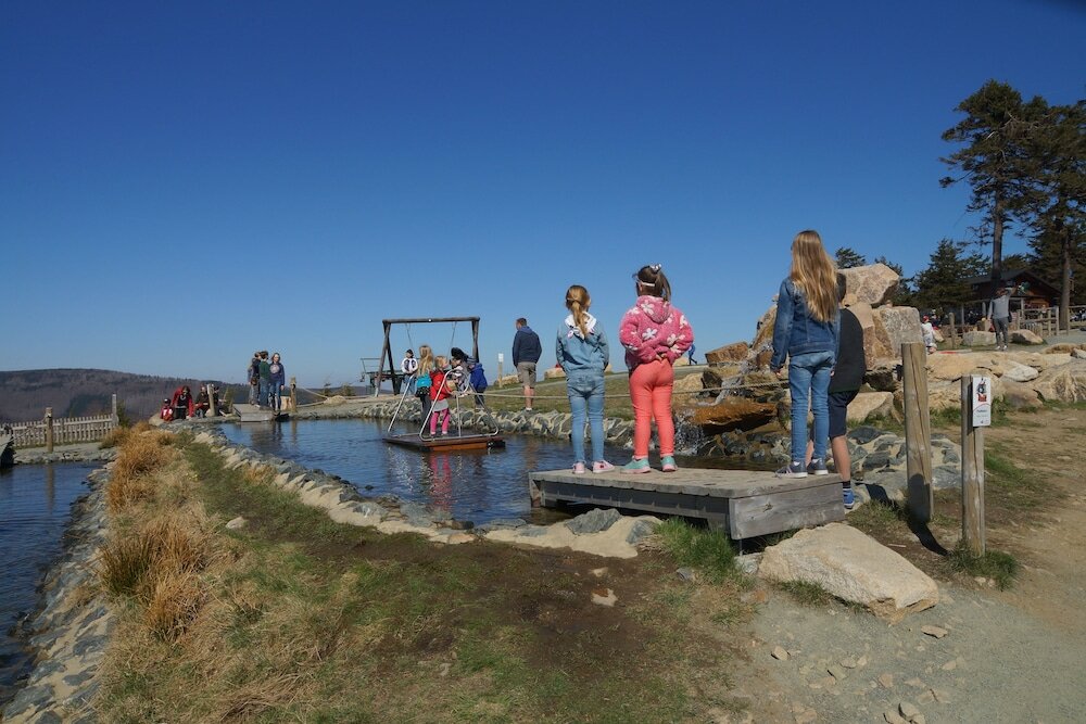 Фото Hotel Riemann