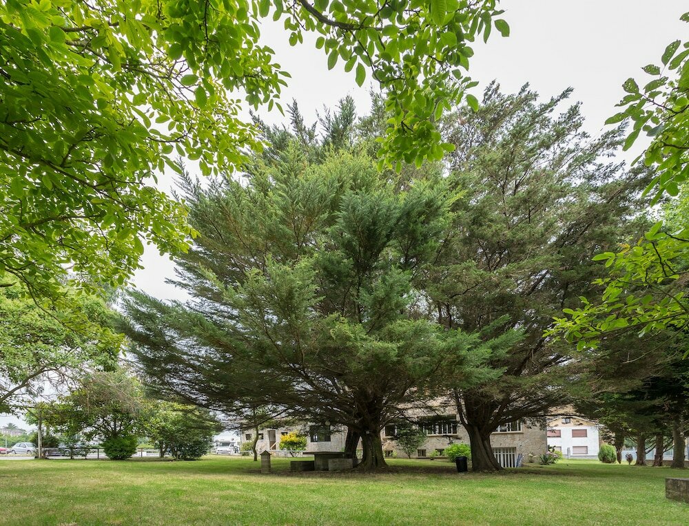 Фото Hotel la Xungueira