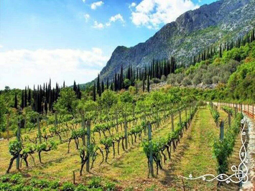 Фото Modern Apartment in Mocici With Terrace