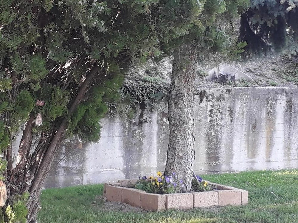 Фото La Casa nel Verde