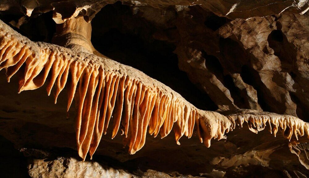 Фото Ski-Lake Cottage Nízke Tatry