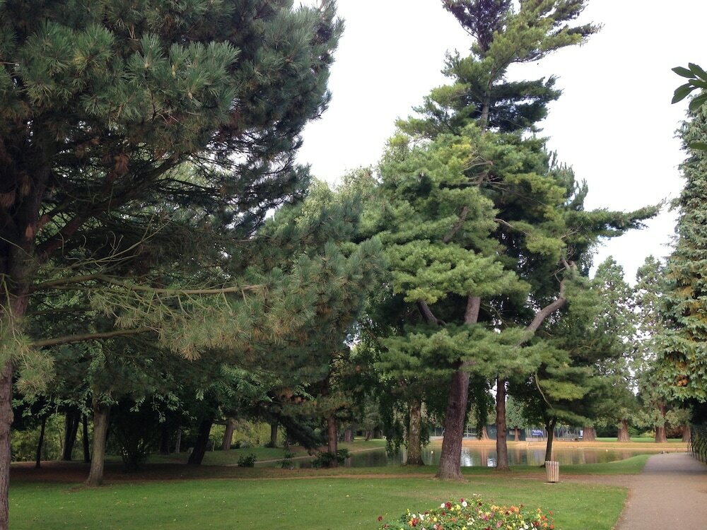 Фото отеля 4