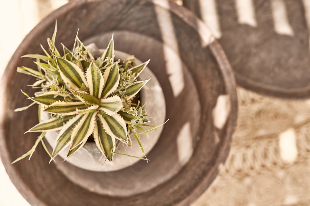 Фото Naxian On The Beach - Adults Only