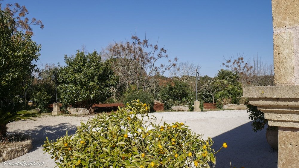 Фото Tenuta il Grifo