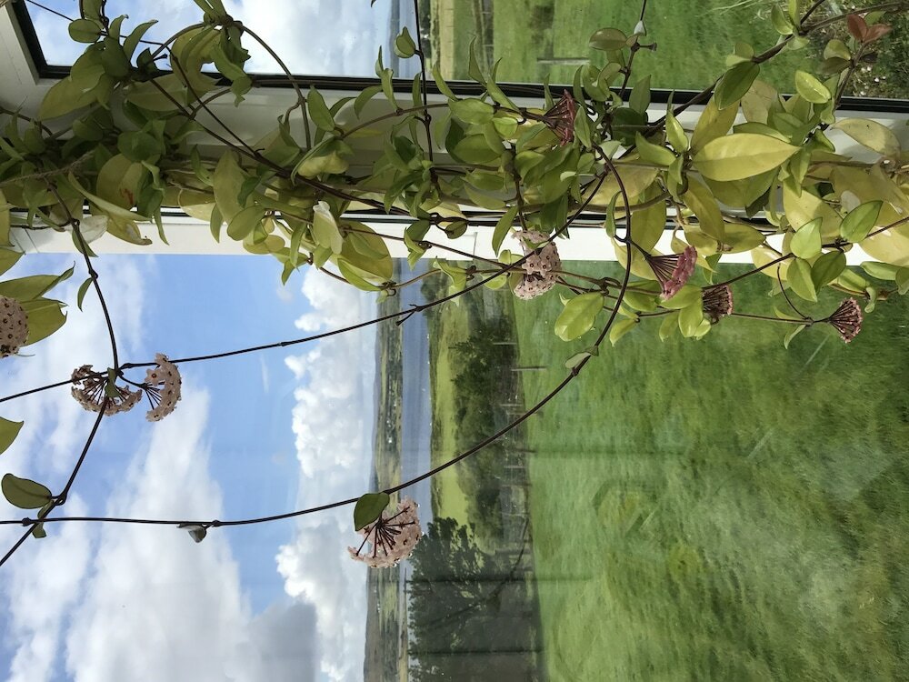 Фото Corran House