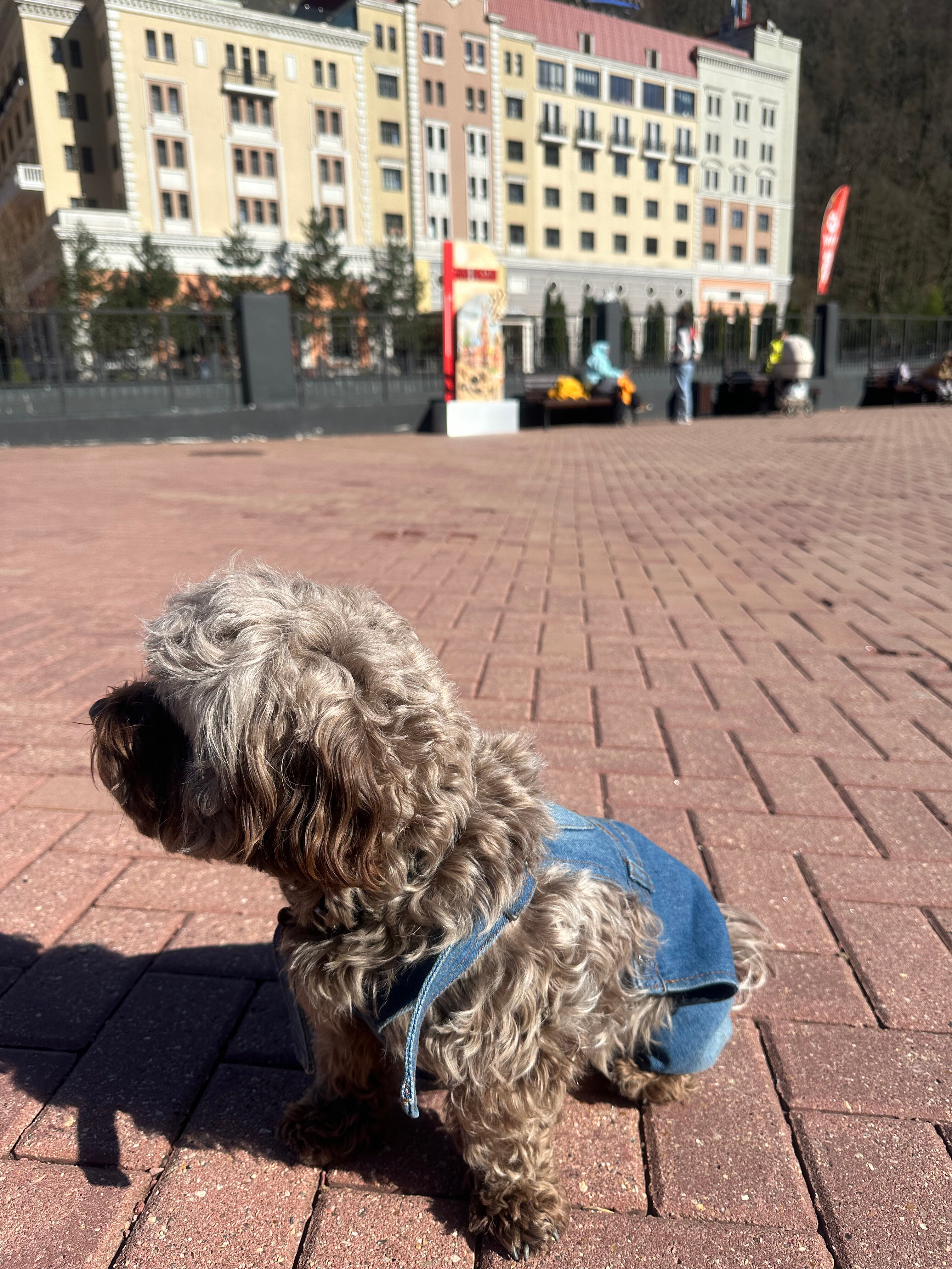 Фото Гостиница Black Sea