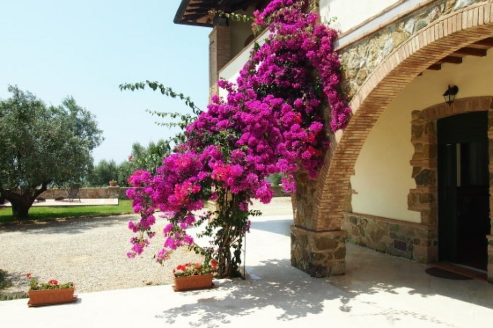 Фото Colle Berto