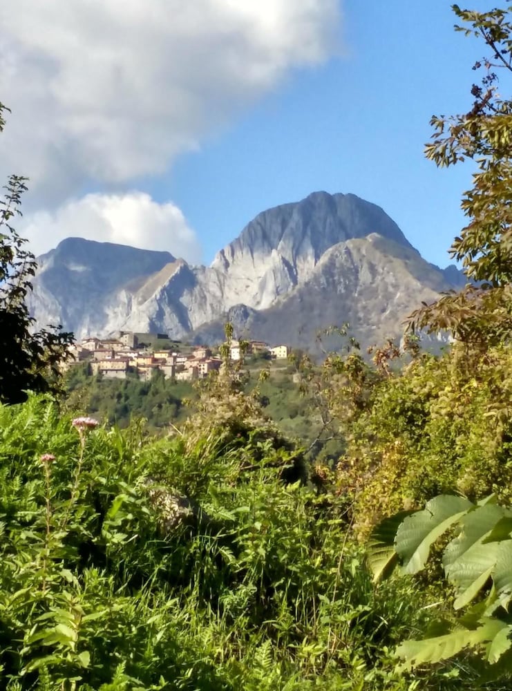 Фото Agriturismo Summer