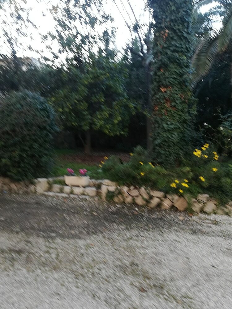 Фото Gabbiano Bianco