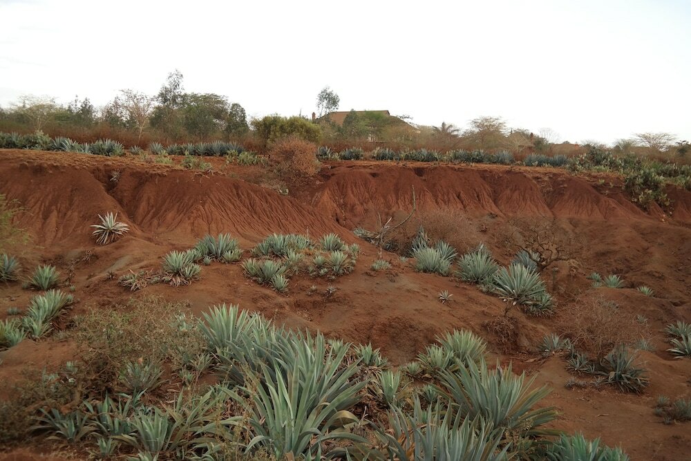 Фото Enyati Lodge