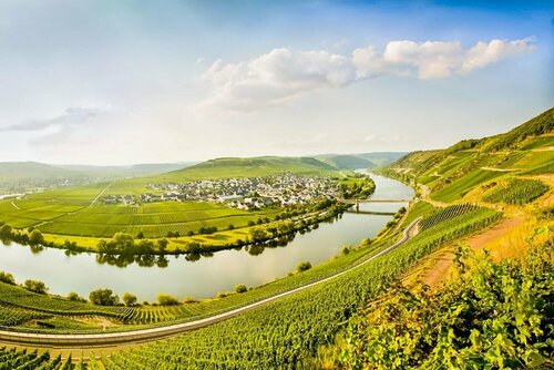 Гостиница Weingut & Gästehaus Christoph Clüsserath