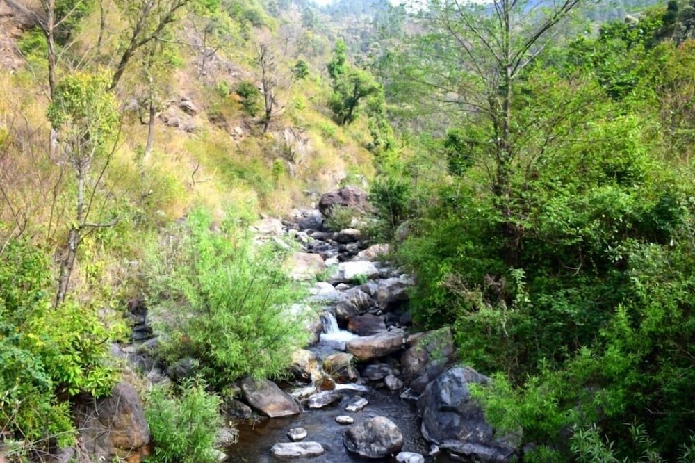 Фото Nainital River Camp
