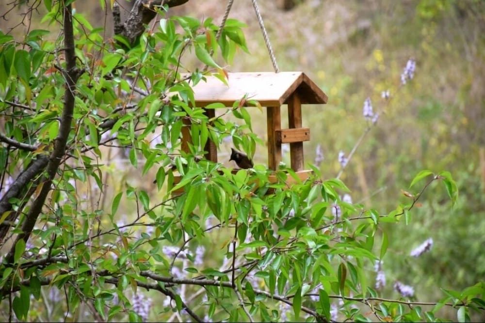 Фото Nainital River Camp