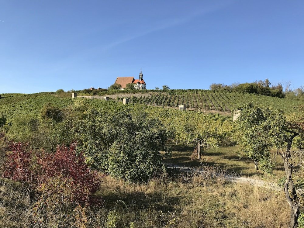 Фото Ferienwohnungen Scheuring