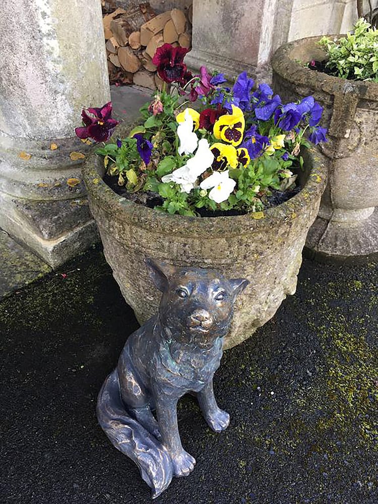 Фото Burleigh Court