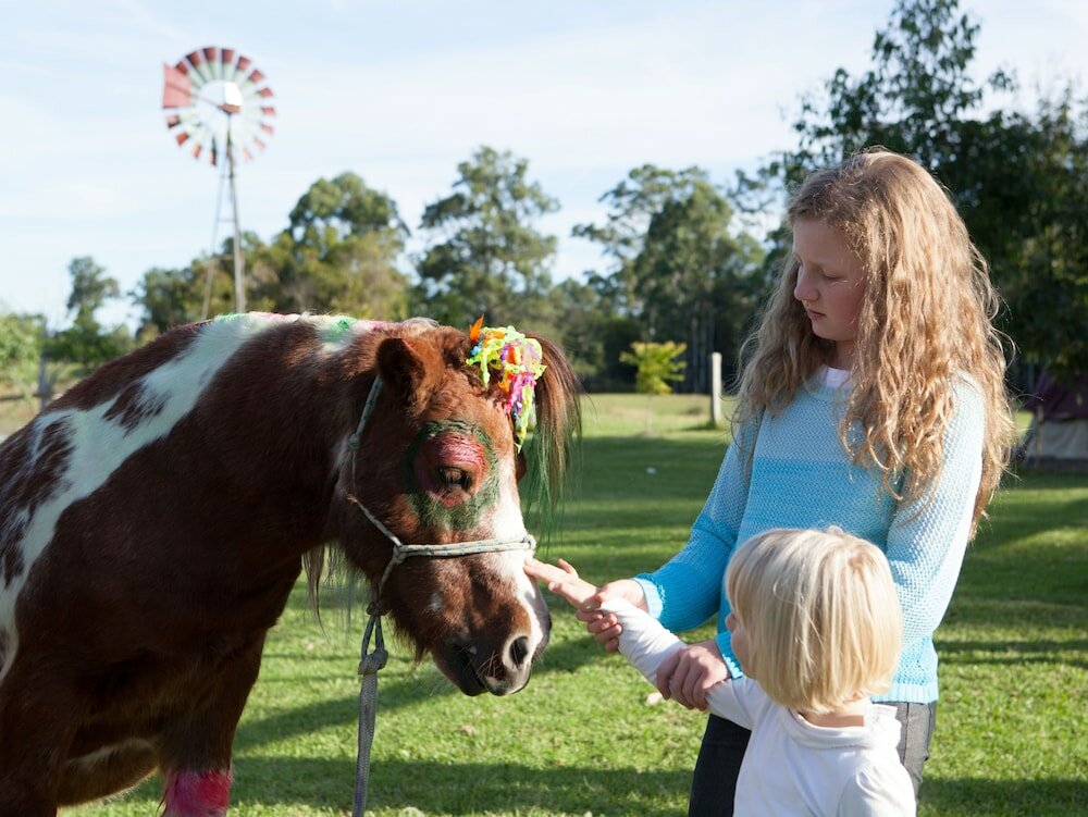 Фото Kings Creek Retreat