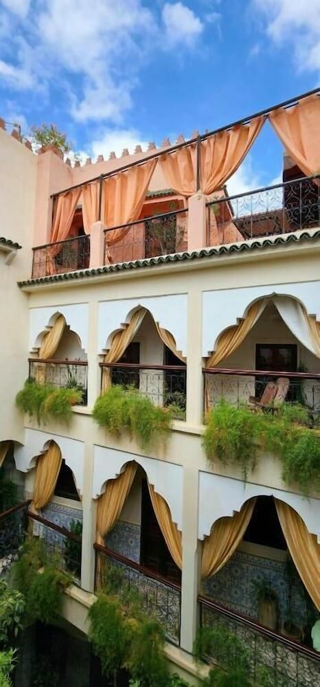 Фото Abelia Riad