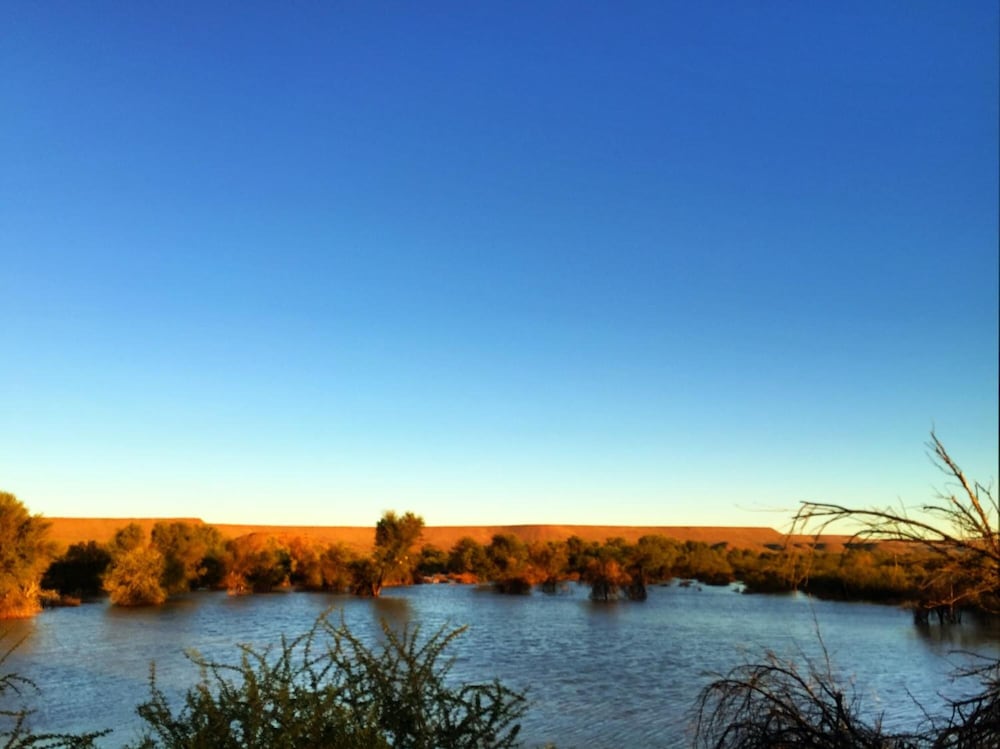Фото Burgsdorf Guest Farm