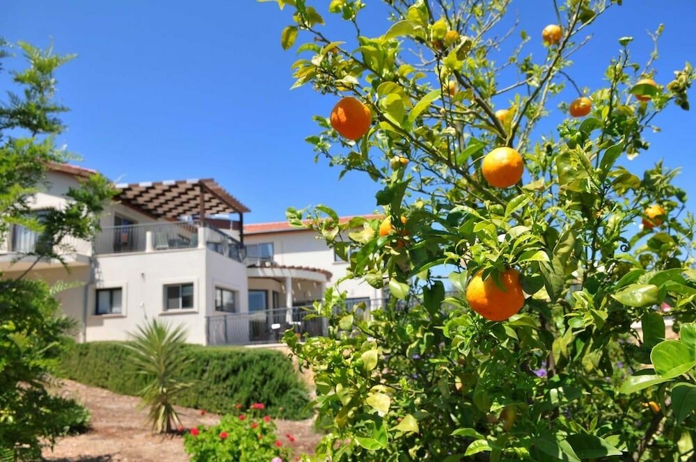 Фото Villa Amelia by Amy Villas