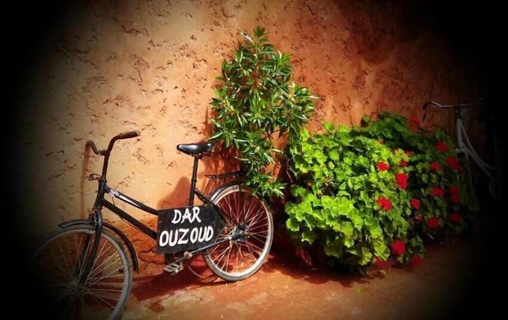 Фото Riad Dar Ouzoud
