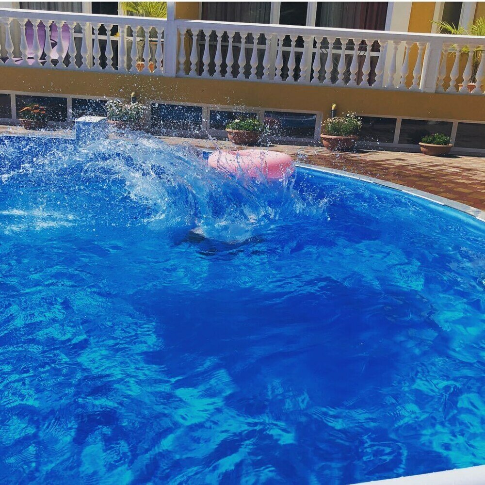 Фото Медовая