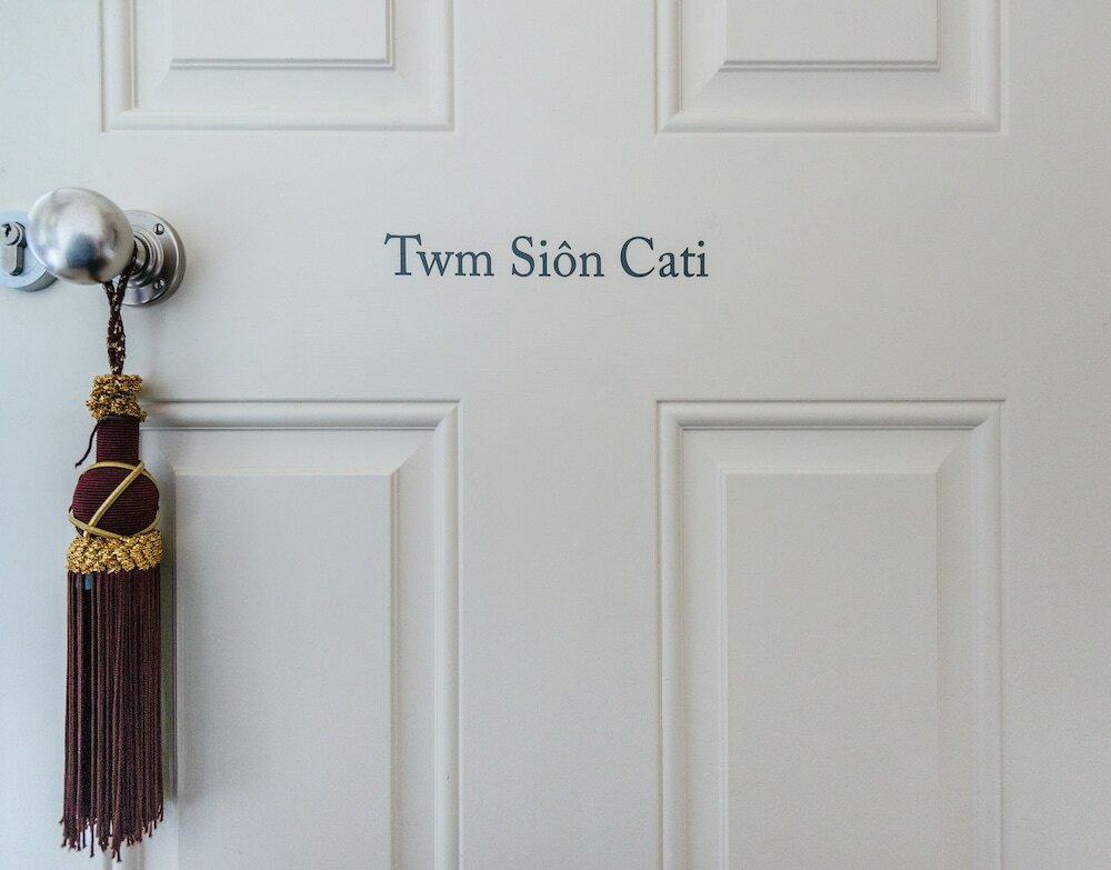 Фото The New White Lion