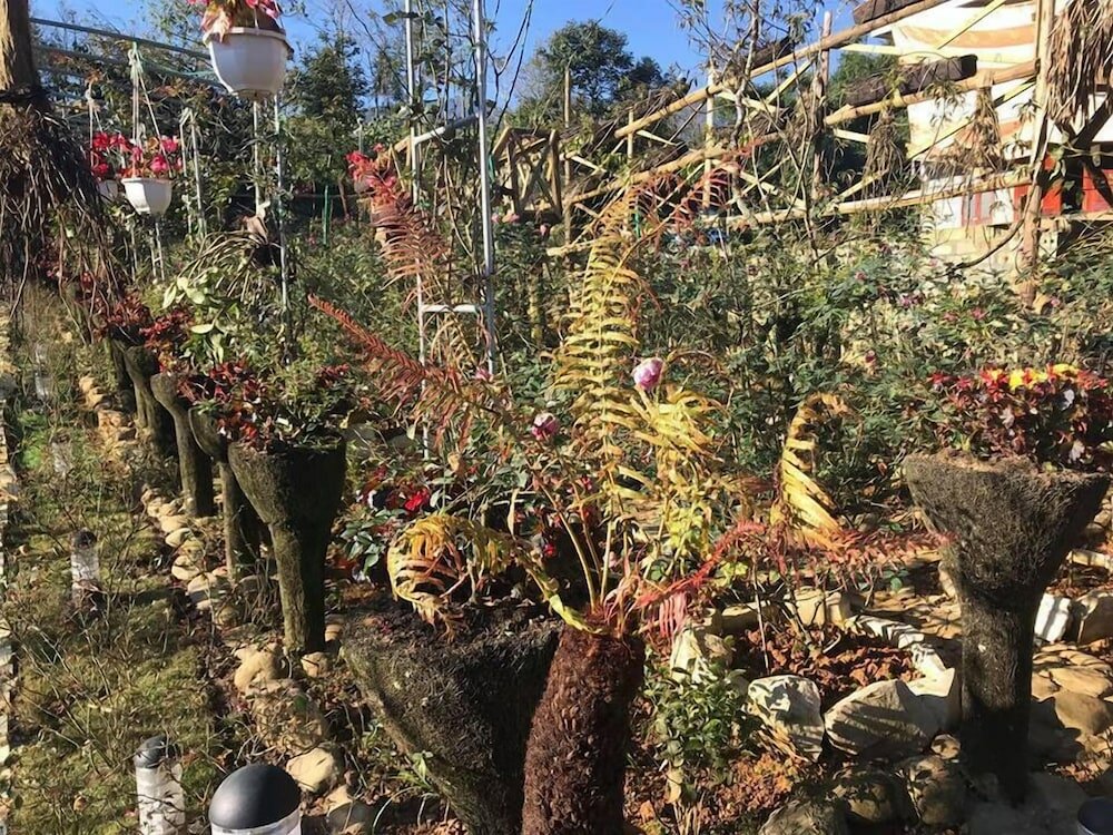 Фото Homestay Vuon Hong Co