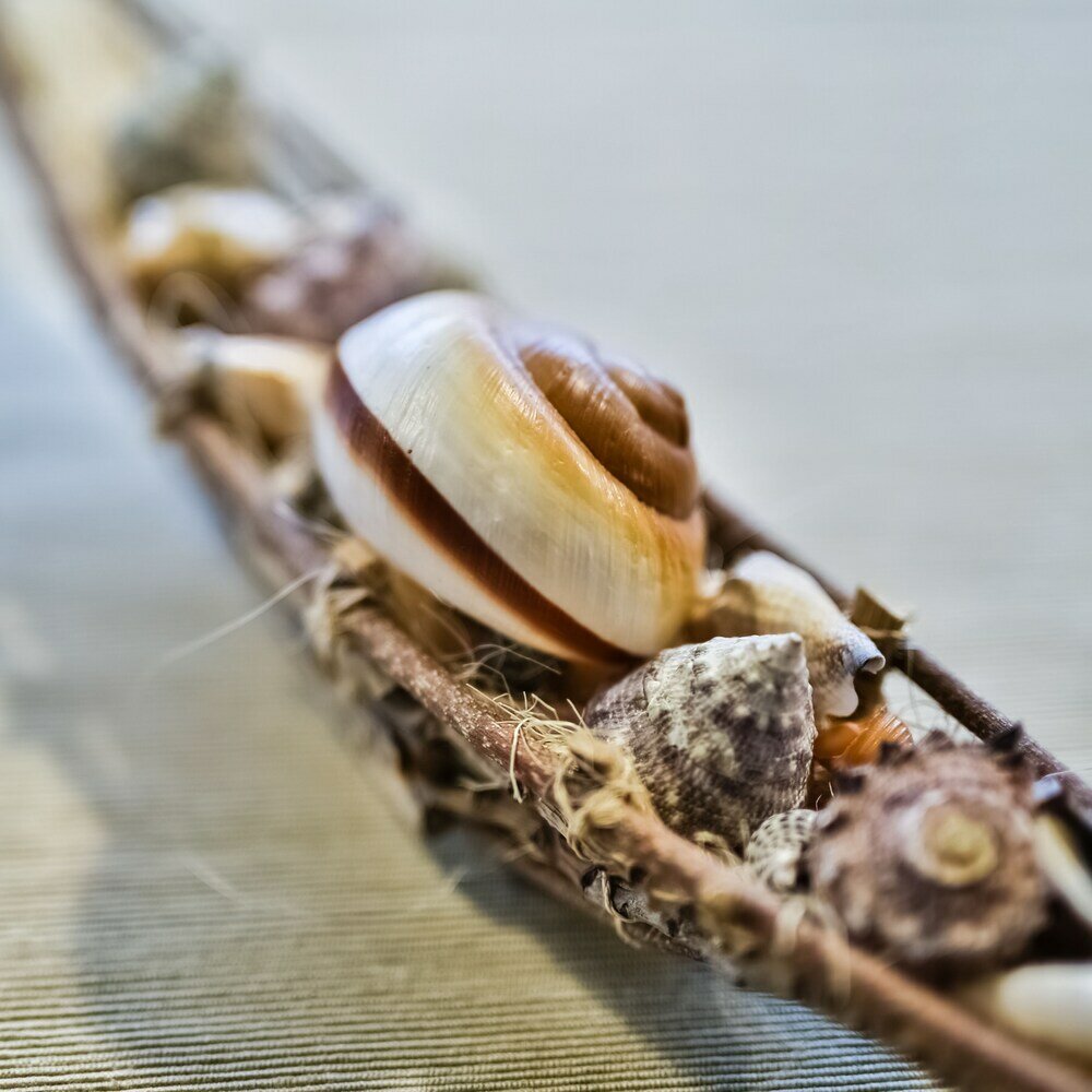 Фото Hotel Champion