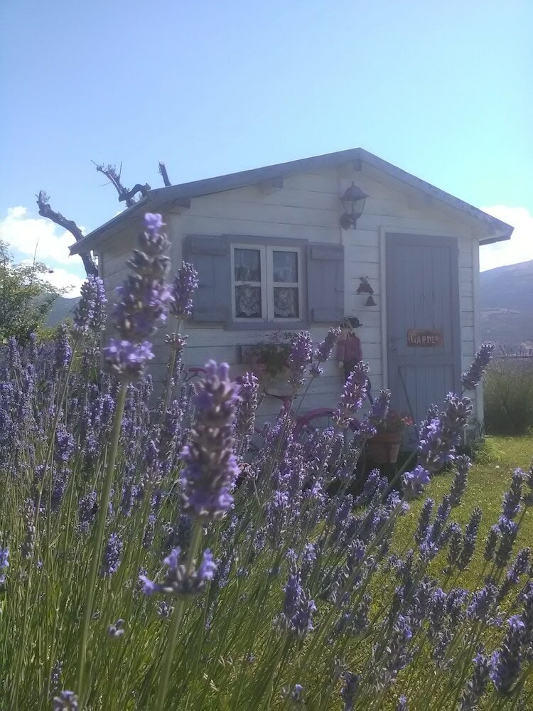 Фото B&b Col di Piagge