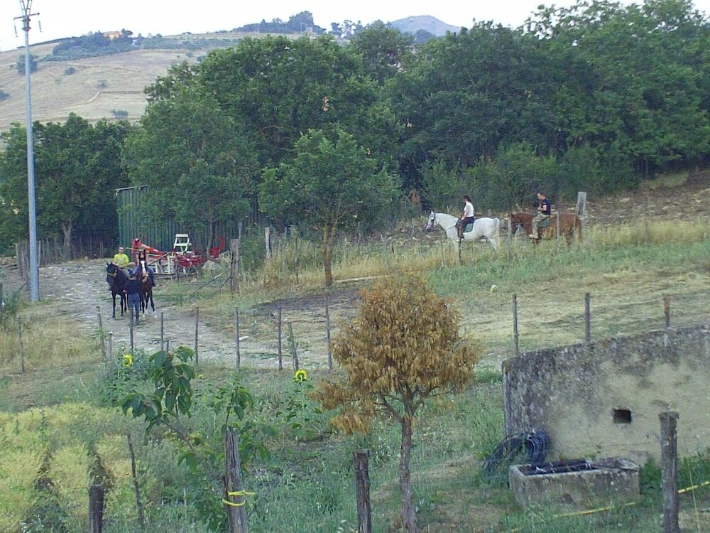 Фото Agriturismo San Pietro