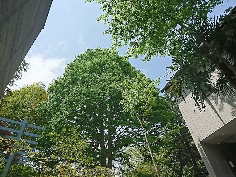 Фото Hakone Morinoyado