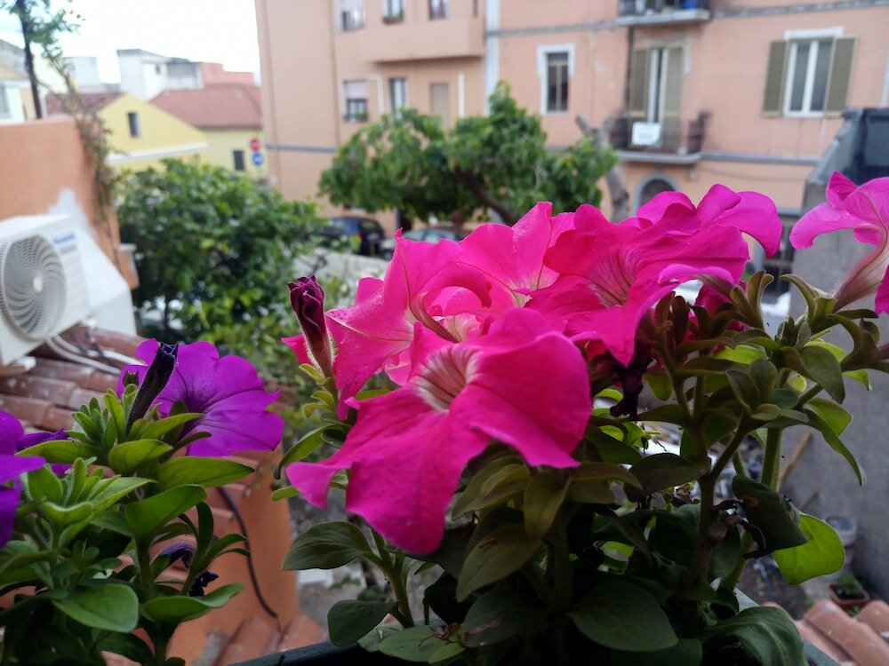 Фото Casa Satta 1925