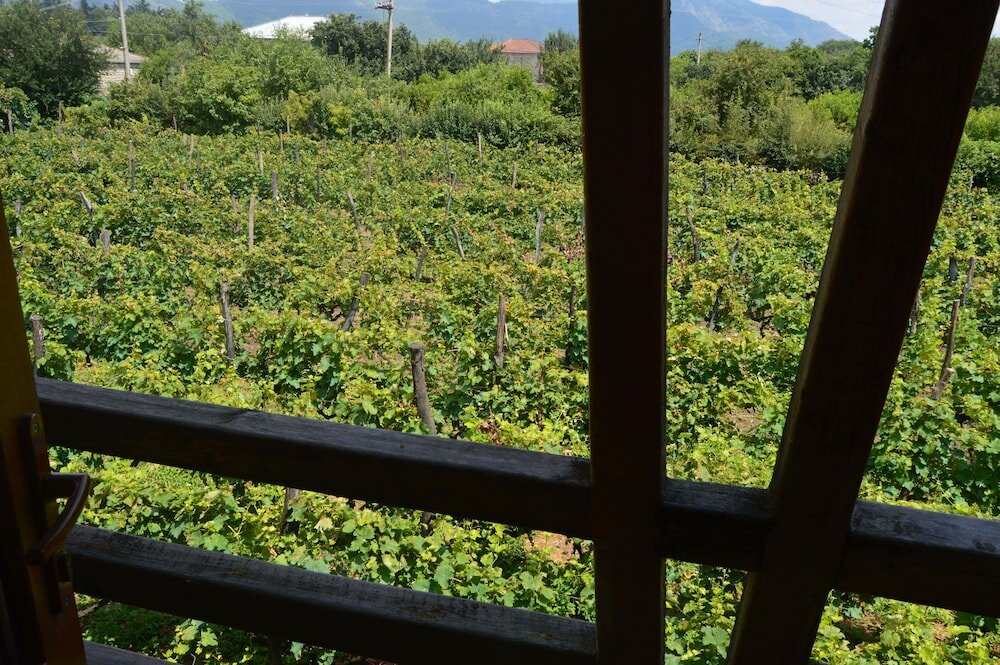 Фото 224496578260