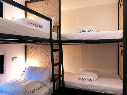 Гостиница Pig Dive Hostel