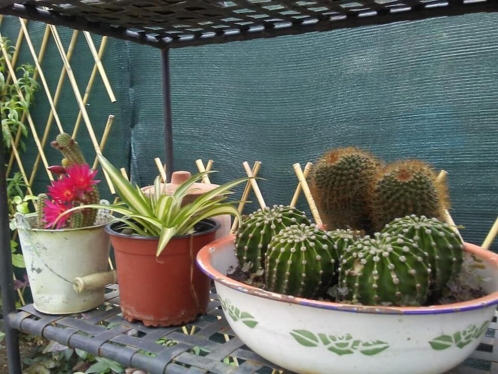 Фото La Casa In Pietra