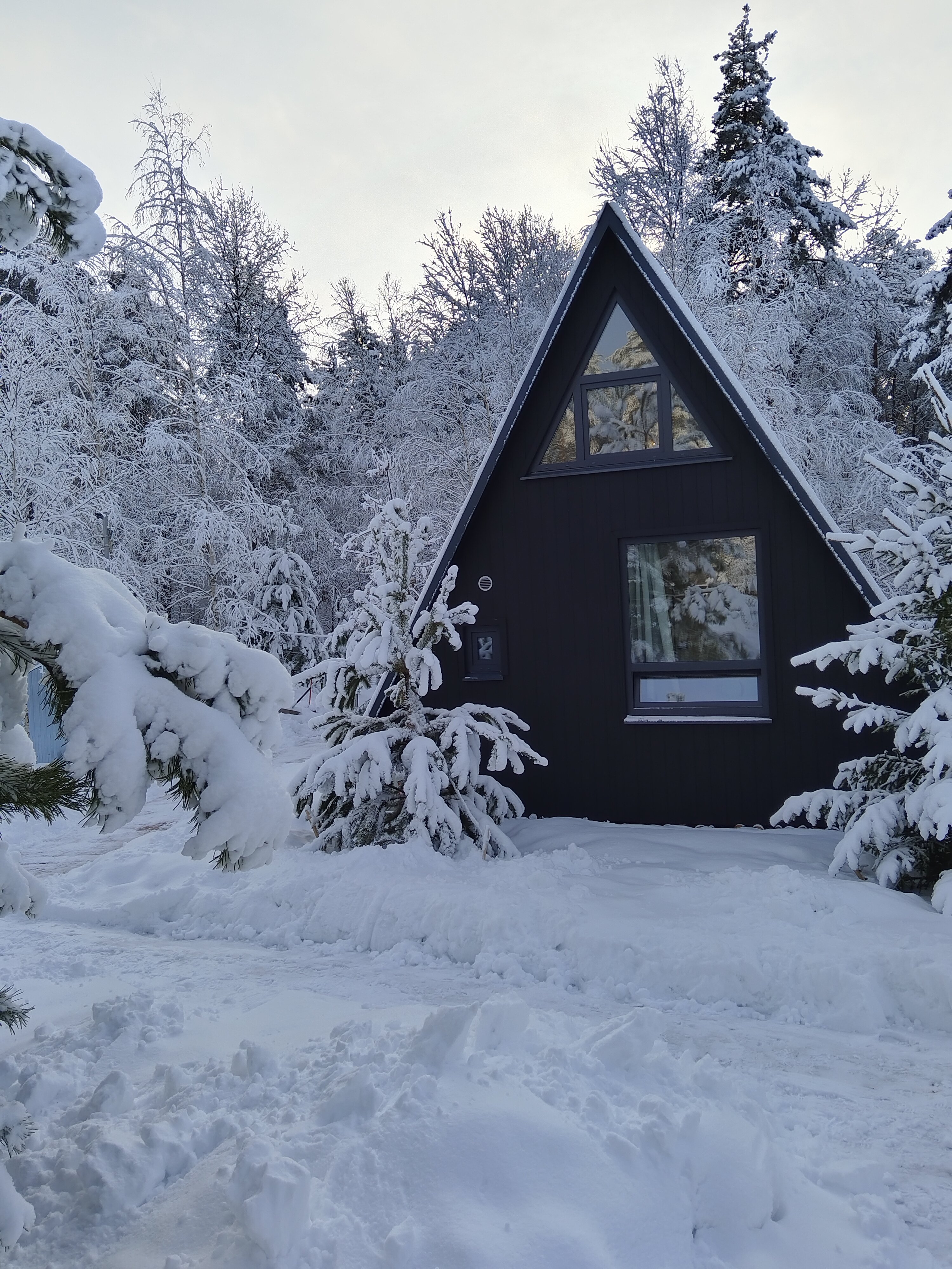 Фото А в лесу