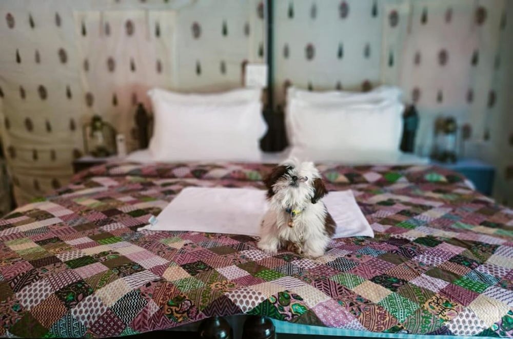 Фото Dev Bhoomi Farms & Cottages