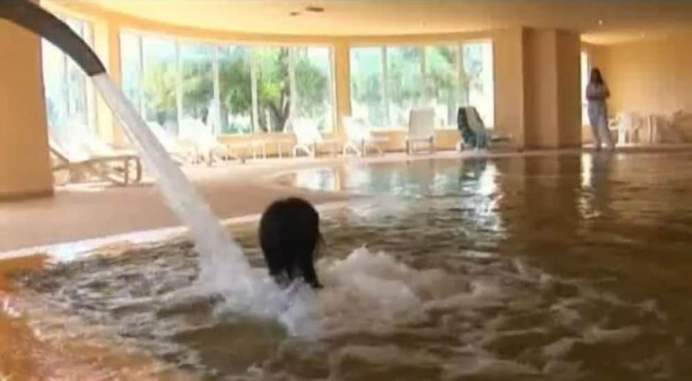 Фото Zephir Hotel & SPA