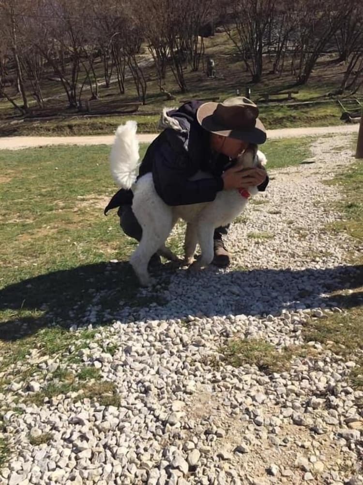 Фото Apartment Red House