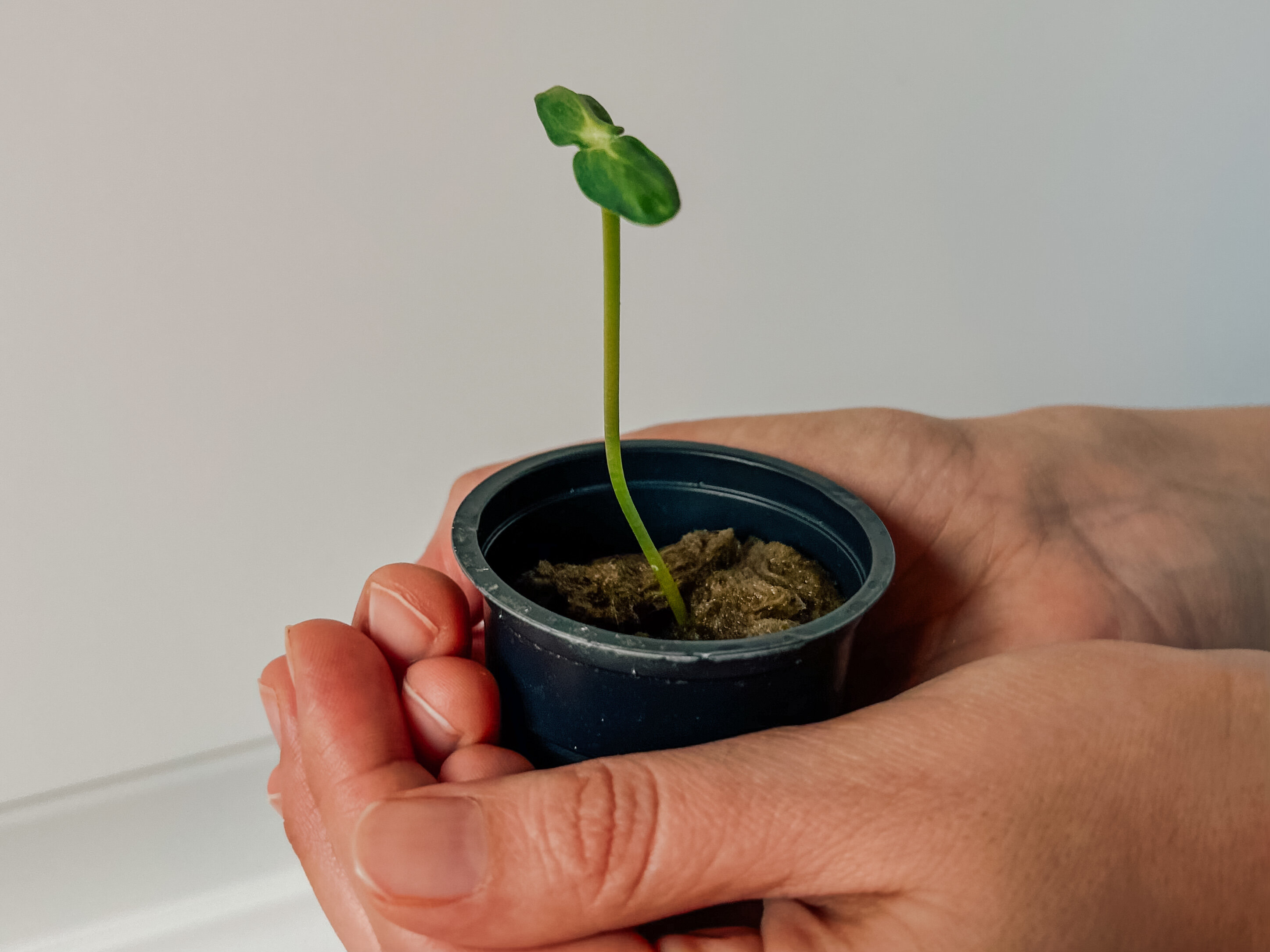 Фото Эко Парк Тепло