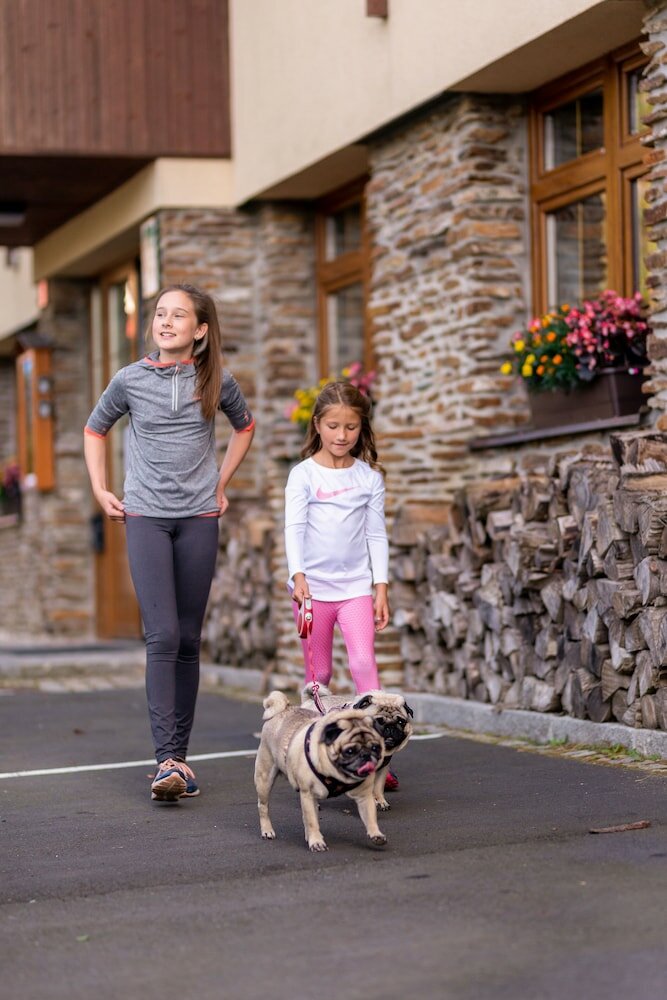 Фото Apartmany Engadin